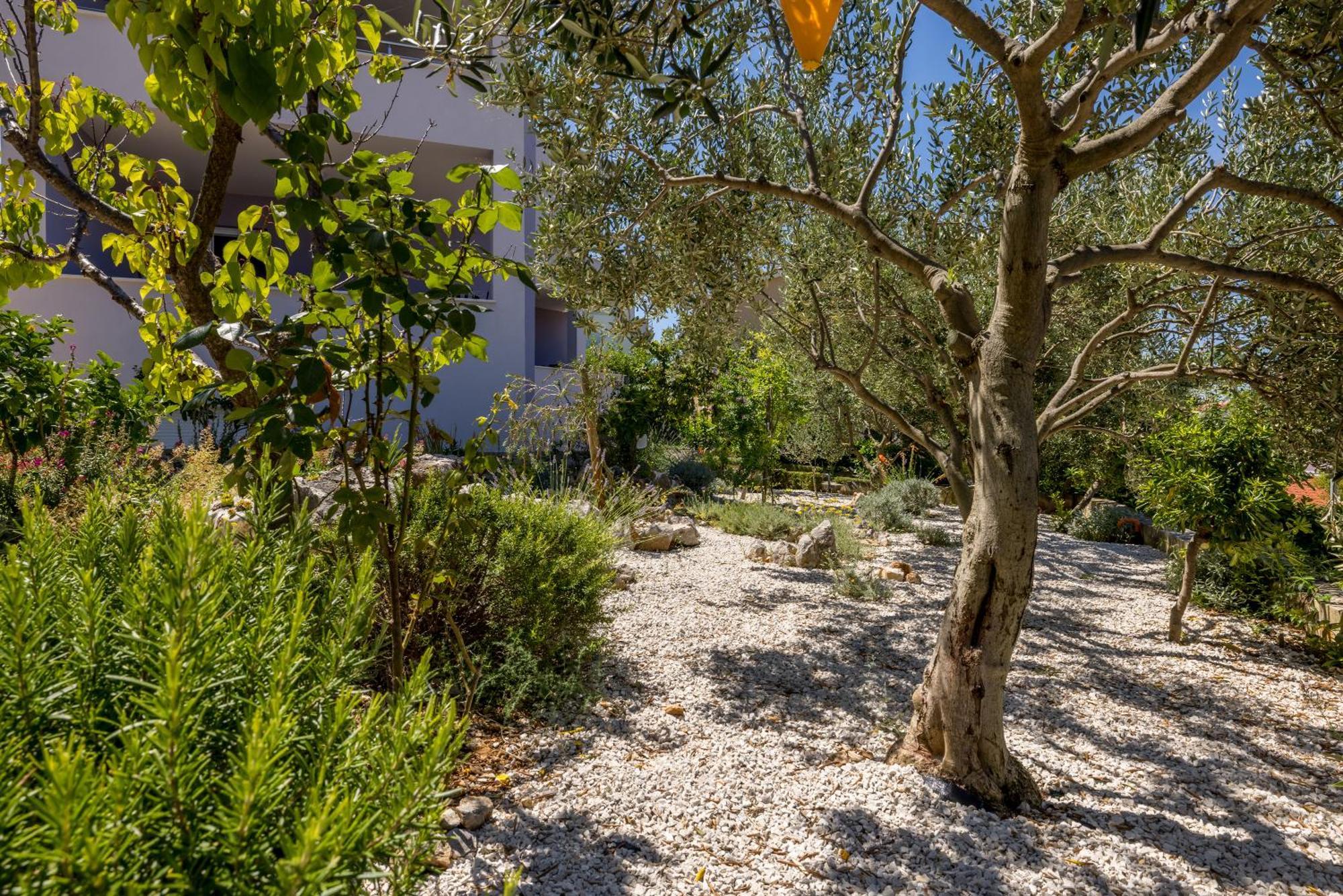 Rosemary Apartment Razanj